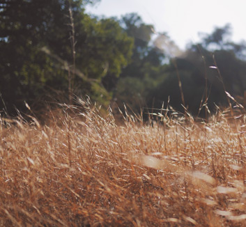 爱游戏体育在线登录-姚明向库兹马极力推荐杨瀚森：他很聪明天赋上佳 传球&amp;amp;视野很棒