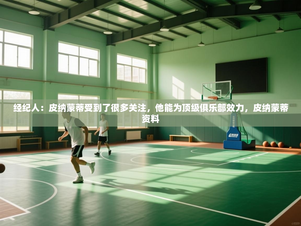 爱游戏影视-经纪人：皮纳蒙蒂受到了很多关注，他能为顶级俱乐部效力，皮纳蒙蒂资料